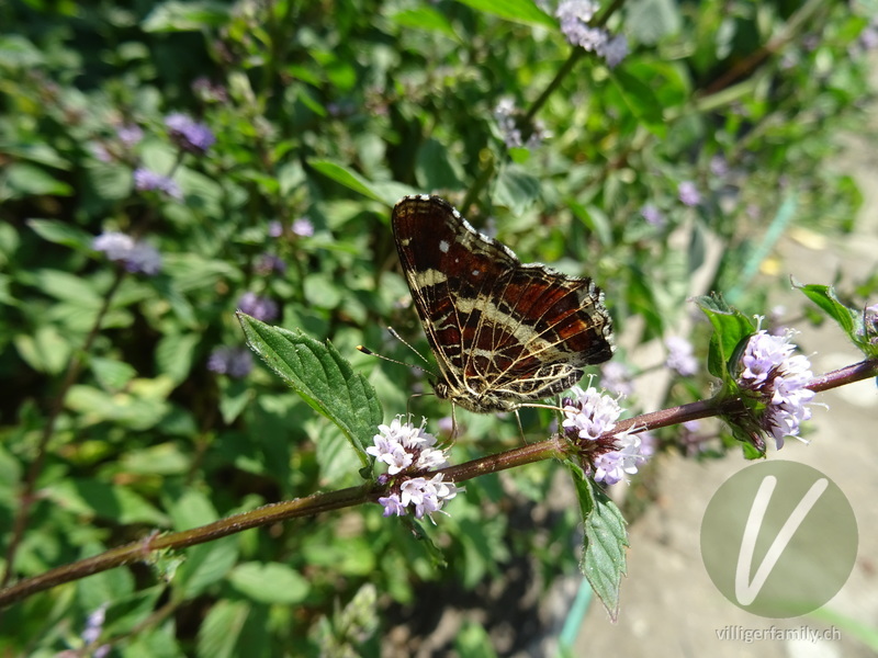 Landkärtchen: Übersicht